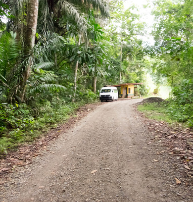Panama--nighttime rainforest tour-s024-r2